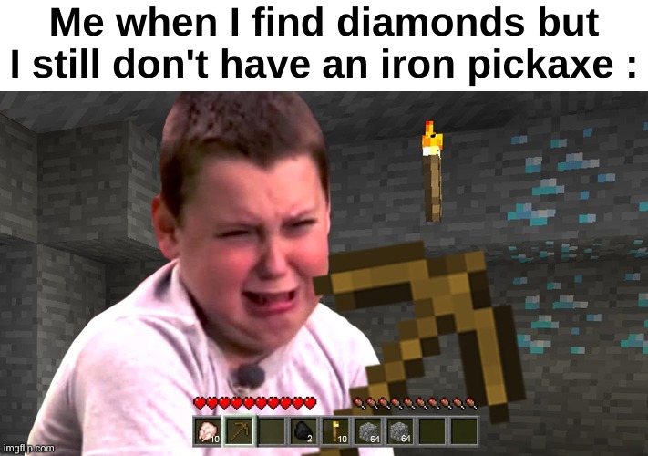 Me when I find diamonds but I still don't have an iron pickaxe : | made w/ Imgflip meme maker