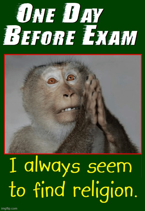 When you NEVER study... | image tagged in vince vance,school,memes,monkey,exams,religion | made w/ Imgflip meme maker