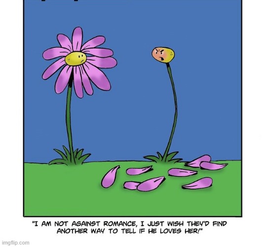 Angry Flower | image tagged in comics | made w/ Imgflip meme maker