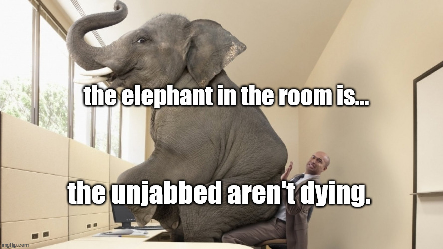 the elephant in the room | the elephant in the room is... the unjabbed aren't dying. | image tagged in covid vaccine,death | made w/ Imgflip meme maker