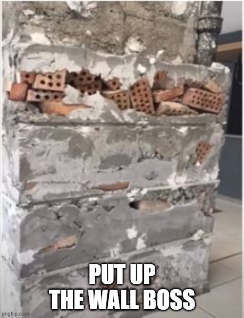 Brick Wall of Bricks | PUT UP THE WALL BOSS | image tagged in you had one job | made w/ Imgflip meme maker