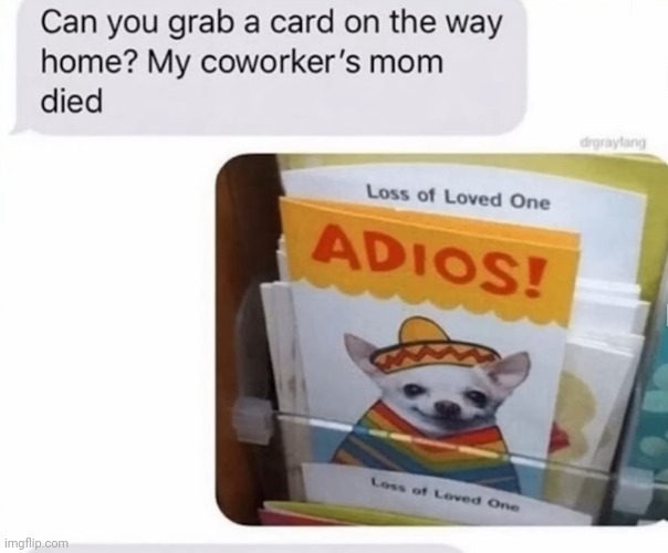 Adios! | image tagged in funny,text messages | made w/ Imgflip meme maker