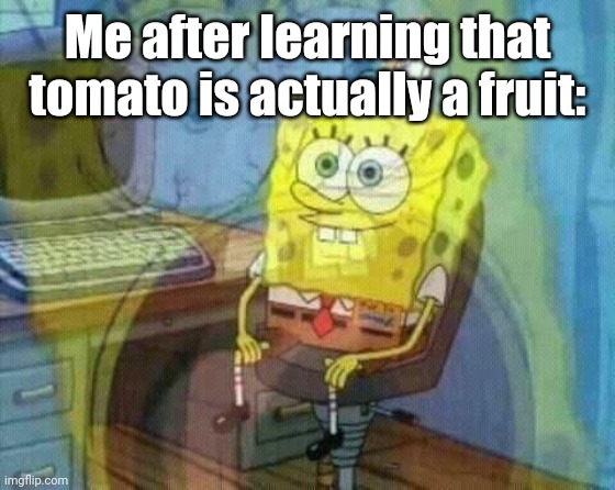 Why hasn't anyone tell me about that? | Me after learning that tomato is actually a fruit: | image tagged in spongebob panic inside,memes,tomato,funny,spongebob,internal screaming | made w/ Imgflip meme maker