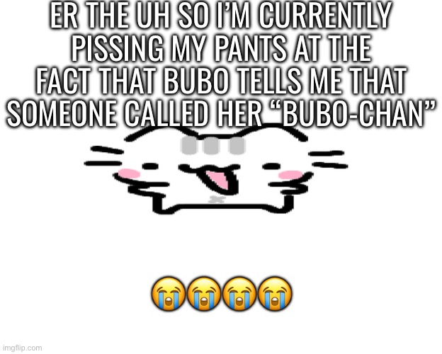 Basil | ER THE UH SO I’M CURRENTLY PISSING MY PANTS AT THE FACT THAT BUBO TELLS ME THAT SOMEONE CALLED HER “BUBO-CHAN”; 😭😭😭😭 | image tagged in basil | made w/ Imgflip meme maker