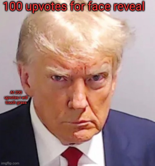 Trump mugshot | 100 upvotes for face reveal; At 200 upvotes I will touch grass | image tagged in trump mugshot | made w/ Imgflip meme maker