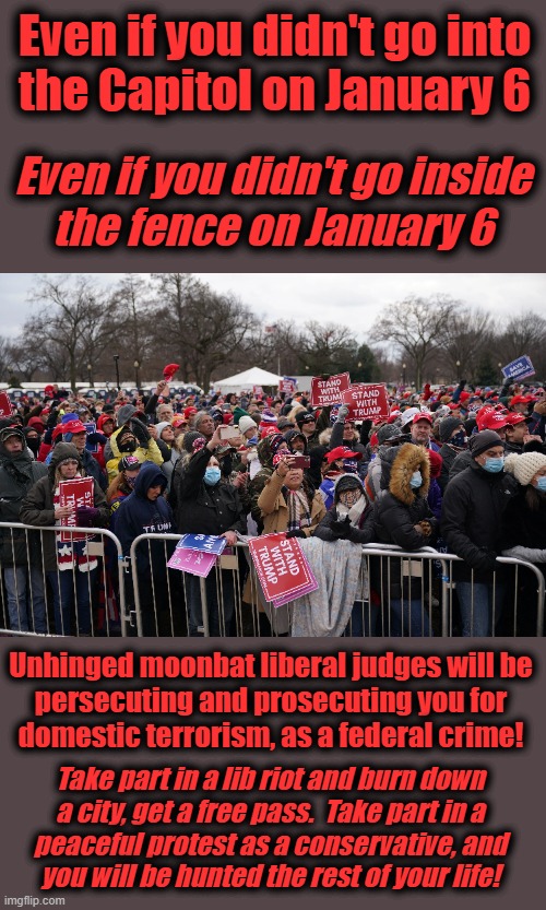 The out-of-control, unhinged tyranny of our federal government | Even if you didn't go into
the Capitol on January 6; Even if you didn't go inside
the fence on January 6; Unhinged moonbat liberal judges will be
persecuting and prosecuting you for
domestic terrorism, as a federal crime! Take part in a lib riot and burn down
a city, get a free pass.  Take part in a
peaceful protest as a conservative, and
you will be hunted the rest of your life! | image tagged in memes,january 6,democrats,joe biden,domestic terrorism,protest | made w/ Imgflip meme maker