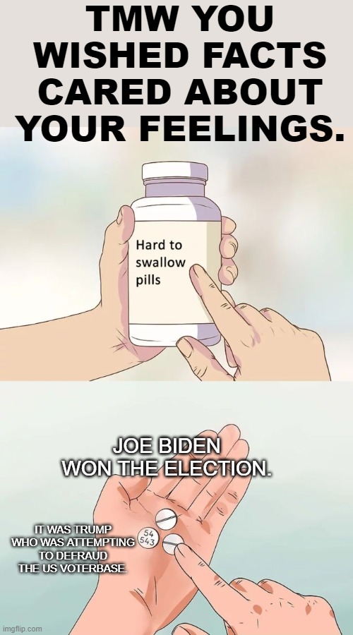 POV: The "Facts Don't Care About Your Feelings" Crowd. | TMW YOU WISHED FACTS CARED ABOUT YOUR FEELINGS. JOE BIDEN WON THE ELECTION. IT WAS TRUMP WHO WAS ATTEMPTING TO DEFRAUD THE US VOTERBASE. | image tagged in memes,hard to swallow pills,trump,biden,skeletor disturbing facts,fun facts with squidward | made w/ Imgflip meme maker