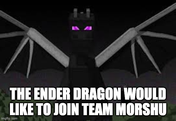 Ender dragon | THE ENDER DRAGON WOULD LIKE TO JOIN TEAM MORSHU | image tagged in ender dragon | made w/ Imgflip meme maker