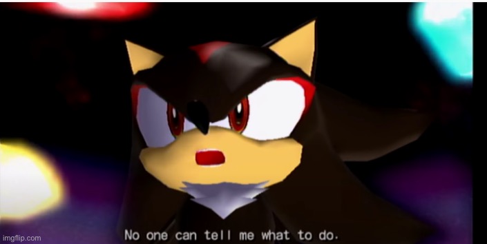 No one can tell me what to do | image tagged in no one can tell me what to do | made w/ Imgflip meme maker