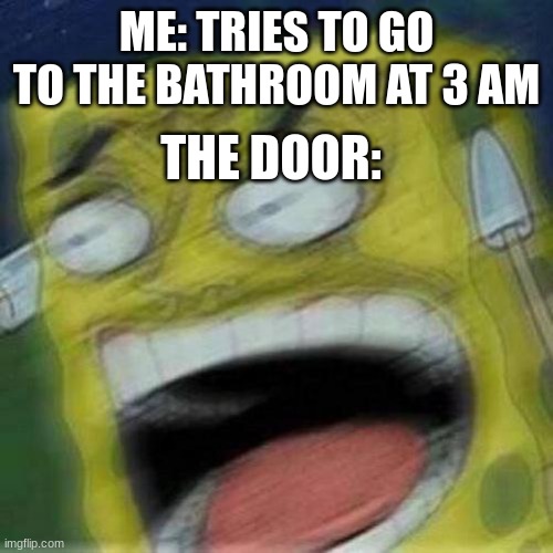 REEEEEEE | ME: TRIES TO GO TO THE BATHROOM AT 3 AM; THE DOOR: | image tagged in reeeeeee | made w/ Imgflip meme maker