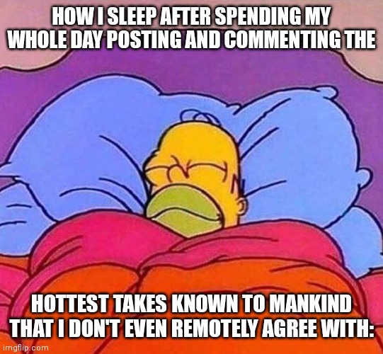 We do a little trolling | HOW I SLEEP AFTER SPENDING MY WHOLE DAY POSTING AND COMMENTING THE; HOTTEST TAKES KNOWN TO MANKIND THAT I DON'T EVEN REMOTELY AGREE WITH: | image tagged in homer simpson sleeping peacefully | made w/ Imgflip meme maker