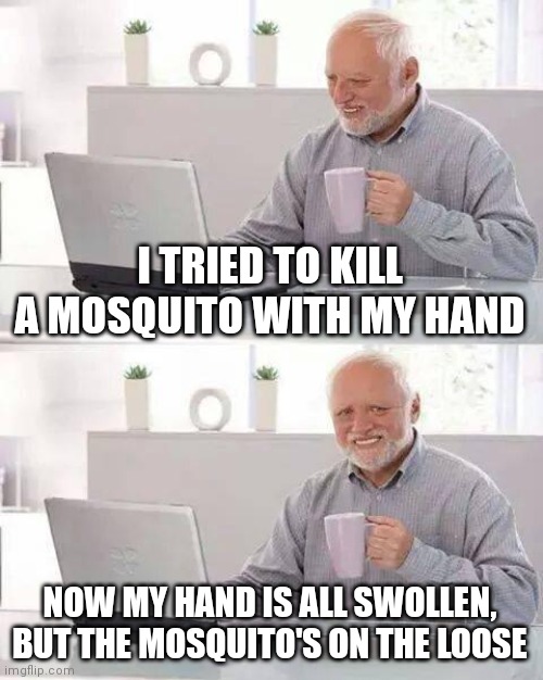 Fun Fact: I made this using Imgflip's AI feature | I TRIED TO KILL A MOSQUITO WITH MY HAND; NOW MY HAND IS ALL SWOLLEN, BUT THE MOSQUITO'S ON THE LOOSE | image tagged in memes,hide the pain harold | made w/ Imgflip meme maker