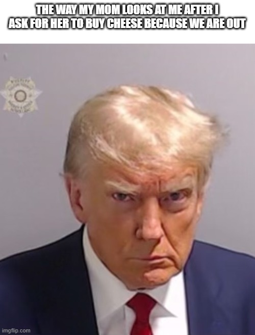 like, come on, mom! | THE WAY MY MOM LOOKS AT ME AFTER I ASK FOR HER TO BUY CHEESE BECAUSE WE ARE OUT | image tagged in donald trump mugshot | made w/ Imgflip meme maker