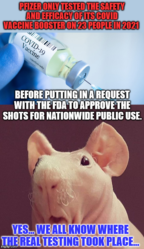 23 people...wow | PFIZER ONLY TESTED THE SAFETY AND EFFICACY OF ITS COVID VACCINE BOOSTER ON 23 PEOPLE IN 2021; BEFORE PUTTING IN A REQUEST WITH THE FDA TO APPROVE THE SHOTS FOR NATIONWIDE PUBLIC USE. YES... WE ALL KNOW WHERE THE REAL TESTING TOOK PLACE... | image tagged in covid vaccine,hairless guinea pig,truth | made w/ Imgflip meme maker