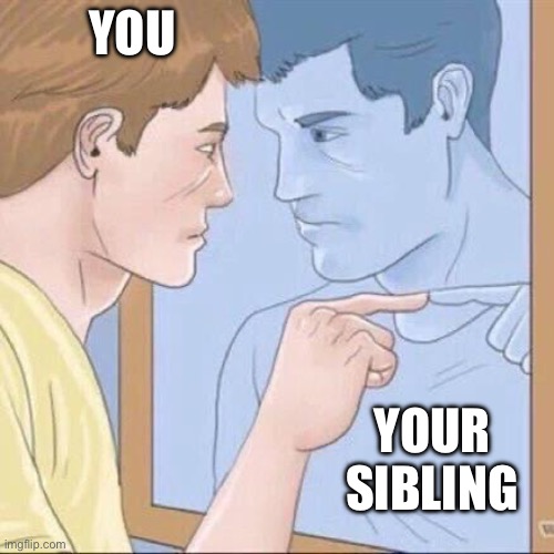 When you reflect after an argument with your sibling | YOU; YOUR SIBLING | image tagged in pointing mirror guy | made w/ Imgflip meme maker