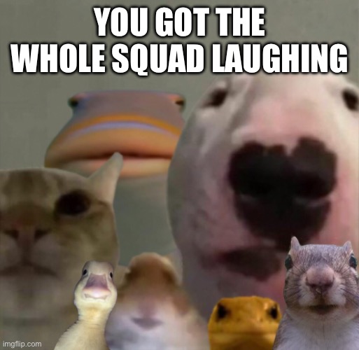 YOU GOT THE WHOLE SQUAD LAUGHING | image tagged in the council remastered | made w/ Imgflip meme maker