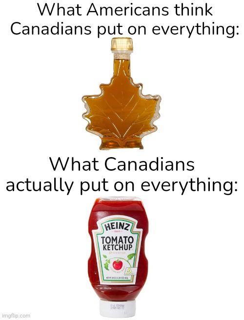 Idk if this is just me but ketchup is the best | What Americans think Canadians put on everything:; What Canadians actually put on everything: | image tagged in blank white template | made w/ Imgflip meme maker