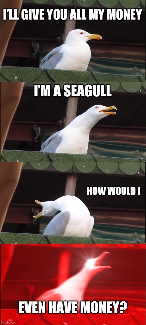 Money | I’LL GIVE YOU ALL MY MONEY; I’M A SEAGULL; HOW WOULD I; EVEN HAVE MONEY? | image tagged in memes,inhaling seagull | made w/ Imgflip meme maker