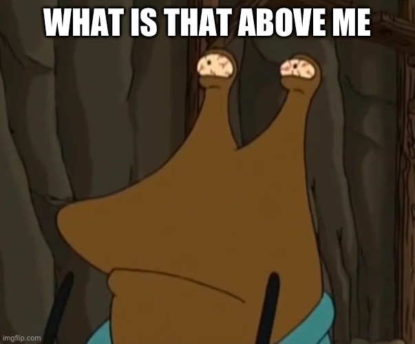 Post above | WHAT IS THAT ABOVE ME | image tagged in slurm mckenzie i'm so tired of partying | made w/ Imgflip meme maker