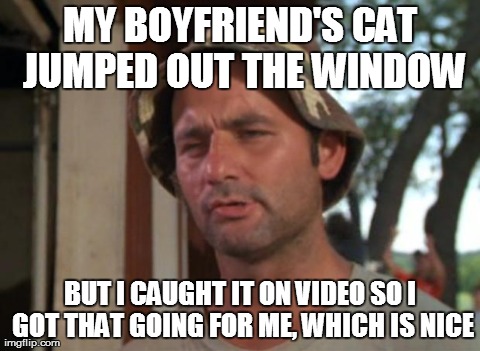 So I Got That Goin For Me Which Is Nice Meme | MY BOYFRIEND'S CAT JUMPED OUT THE WINDOW BUT I CAUGHT IT ON VIDEO SO I GOT THAT GOING FOR ME, WHICH IS NICE | image tagged in memes,so i got that goin for me which is nice | made w/ Imgflip meme maker