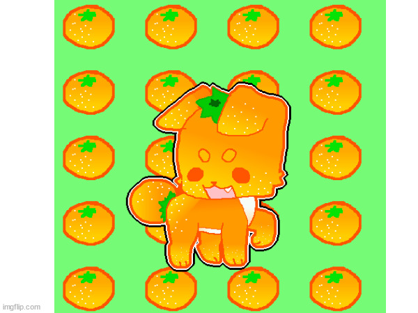 Fruit Animals #2 (Dorange, Dog and Orange) | made w/ Imgflip meme maker