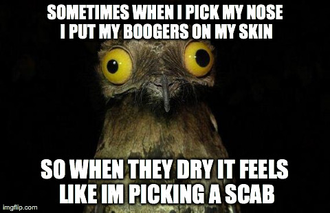 Weird Stuff I Do Potoo Meme | SOMETIMES WHEN I PICK MY NOSE I PUT MY BOOGERS ON MY SKIN SO WHEN THEY DRY IT FEELS LIKE IM PICKING A SCAB | image tagged in memes,weird stuff i do potoo,AdviceAnimals | made w/ Imgflip meme maker