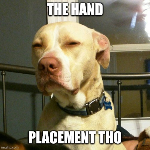 Suspicious Dog | THE HAND PLACEMENT THO | image tagged in suspicious dog | made w/ Imgflip meme maker