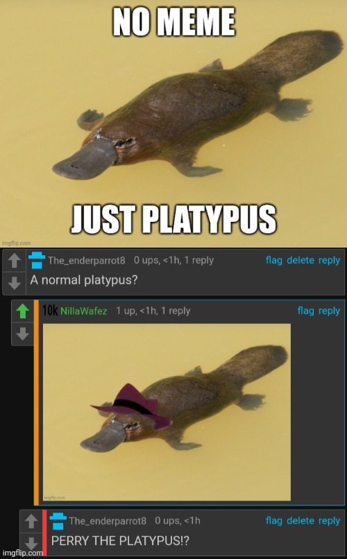 A platypus | image tagged in phineas and ferb,perry the platypus | made w/ Imgflip meme maker