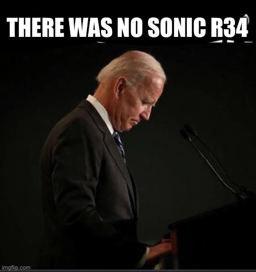 It's Joever | THERE WAS NO SONIC R34 | image tagged in it's joever | made w/ Imgflip meme maker