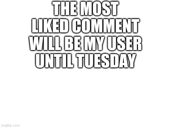 Oh boy | THE MOST LIKED COMMENT WILL BE MY USER UNTIL TUESDAY | image tagged in lol | made w/ Imgflip meme maker