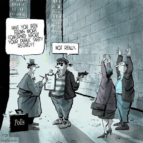 Poll | image tagged in feeling more concerned,about safety,not really,comics | made w/ Imgflip meme maker