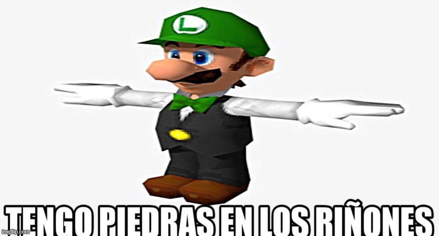 TENGO PIEDRAS EN LOS RINONES | image tagged in tengo piedras en los rinones | made w/ Imgflip meme maker