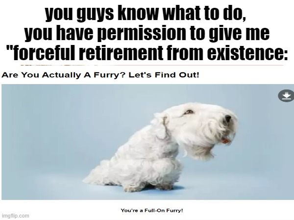 i am not a furry, i am not a furry, i am not a furry i am not a furry, i am not a furry, i am not a furry i am not a furry, i am | you guys know what to do, 
you have permission to give me "forceful retirement from existence: | image tagged in stop reading the tags | made w/ Imgflip meme maker