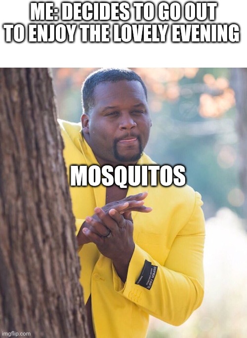 Black guy hiding behind tree | ME: DECIDES TO GO OUT TO ENJOY THE LOVELY EVENING; MOSQUITOS | image tagged in black guy hiding behind tree | made w/ Imgflip meme maker
