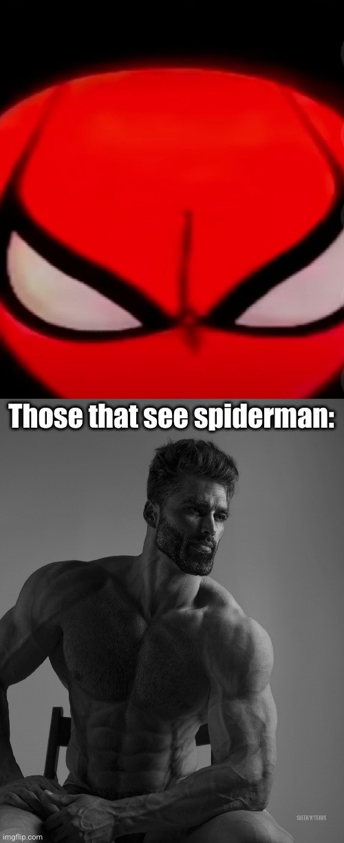 I only see spiderman here fr | Those that see spiderman: | image tagged in giga chad,spiderman,boobs,dark humor,funny,superheroes | made w/ Imgflip meme maker