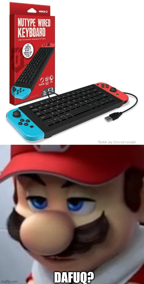 THAT WOULD BE WORSE THAN THE Wii-U GAMEPAD | DAFUQ? | image tagged in nintendo,nintendo switch,super mario | made w/ Imgflip meme maker