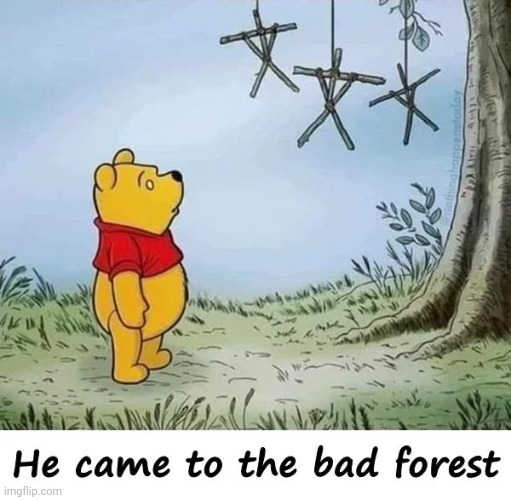 POOH IS ABOUT TO DISAPPEAR | image tagged in winnie the pooh,forest,witch | made w/ Imgflip meme maker