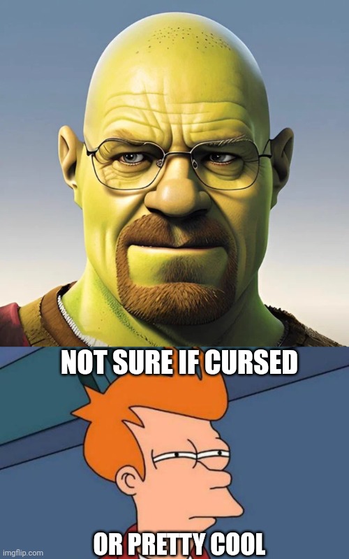 ANYTHING SHREK IS USUALLY CURSED | NOT SURE IF CURSED; OR PRETTY COOL | image tagged in memes,futurama fry,cursed image,shrek,walter white | made w/ Imgflip meme maker