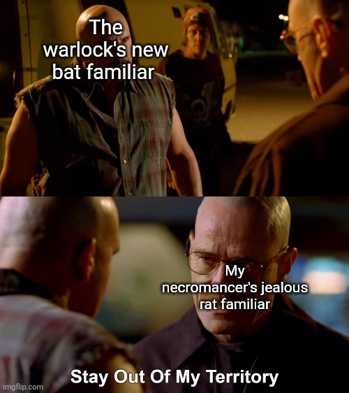 A rivalry is born | The warlock's new bat familiar; My necromancer's jealous rat familiar | image tagged in stay out of my territory,dungeons and dragons | made w/ Imgflip meme maker