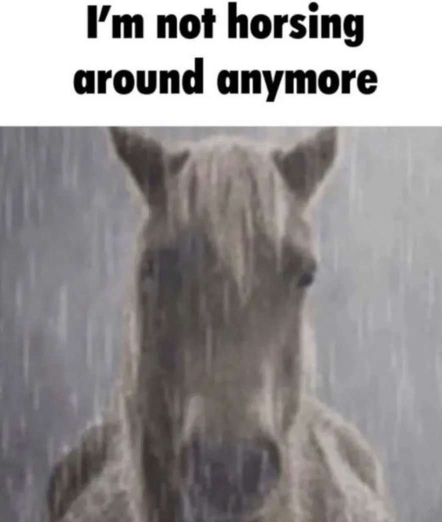 High Quality I’m not horsing around anymore Blank Meme Template
