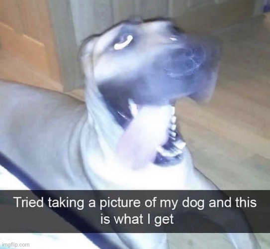 … | made w/ Imgflip meme maker