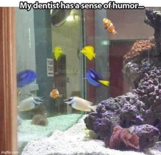 … | made w/ Imgflip meme maker