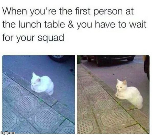 image tagged in memes,funny | made w/ Imgflip meme maker