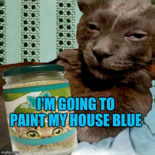 Shit Poster 4 Lyfe | I'M GOING TO PAINT MY HOUSE BLUE | image tagged in ship osta 4 lyfe,shitpost,blue,hawaii,mountain dew,conspiracy | made w/ Imgflip meme maker