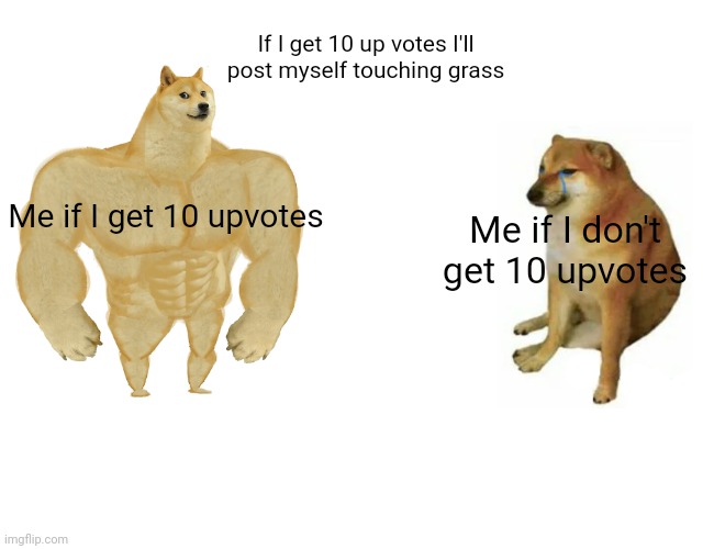 My parents are finally unlocking me from the basement :D Yay! | If I get 10 up votes I'll post myself touching grass; Me if I get 10 upvotes; Me if I don't get 10 upvotes | image tagged in memes,buff doge vs cheems | made w/ Imgflip meme maker