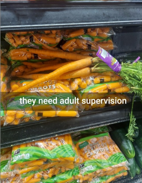 baby carrots being supervised | image tagged in comedy,carrots,baby carrots,memes | made w/ Imgflip meme maker