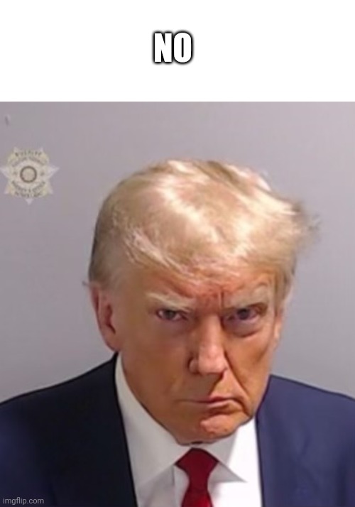 Donald Trump Mugshot | NO | image tagged in donald trump mugshot | made w/ Imgflip meme maker
