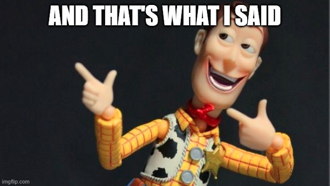 Morning Woody | AND THAT'S WHAT I SAID | image tagged in morning woody | made w/ Imgflip meme maker