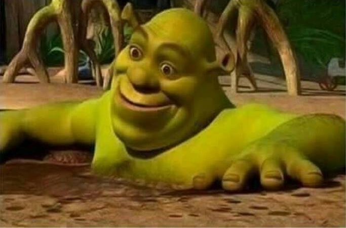 Shrek in a mudtub Blank Meme Template