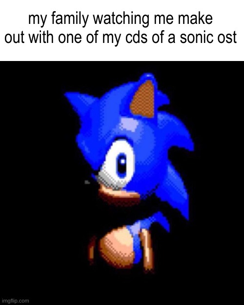 SONIC MUSIC!!! | my family watching me make out with one of my cds of a sonic ost | image tagged in sonic stares deep into your soul | made w/ Imgflip meme maker